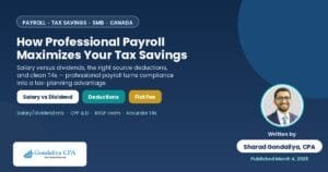 How Professional Payroll Services Can Maximize Your Tax Savings