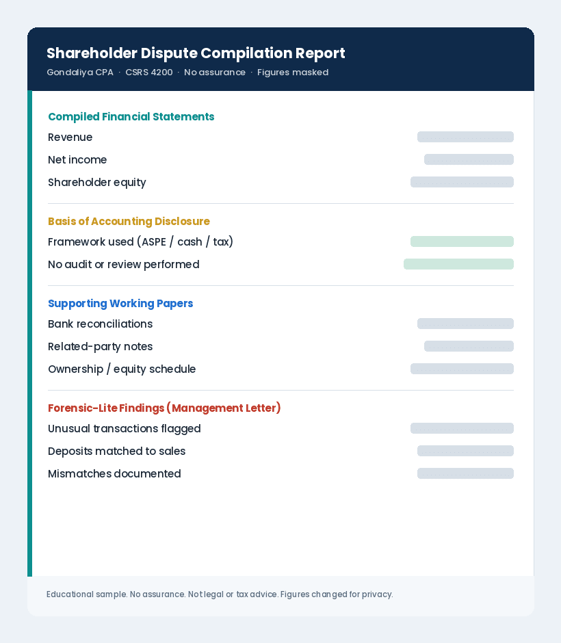 How CPA Compilation Reports Help Resolve Shareholder Disputes and Financial Conflicts Sample shareholder dispute compilation report with figures masked