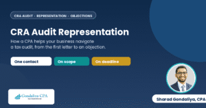 CRA Audit Representation: How a CPA Can Help Your Business Navigate a Tax Audit
