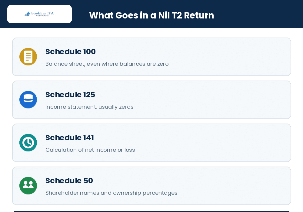 The schedules required in a nil T2 return for a dormant corporation