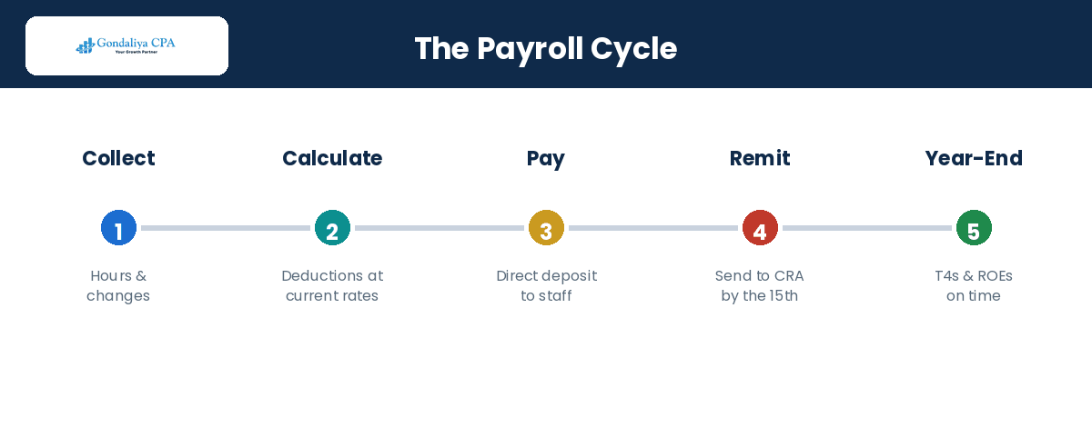 The payroll cycle steps from data collection to CRA remittance