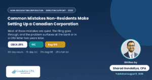 Common Mistakes Non-Residents Make When Setting Up a Canadian Corporation Without Proper Director Support