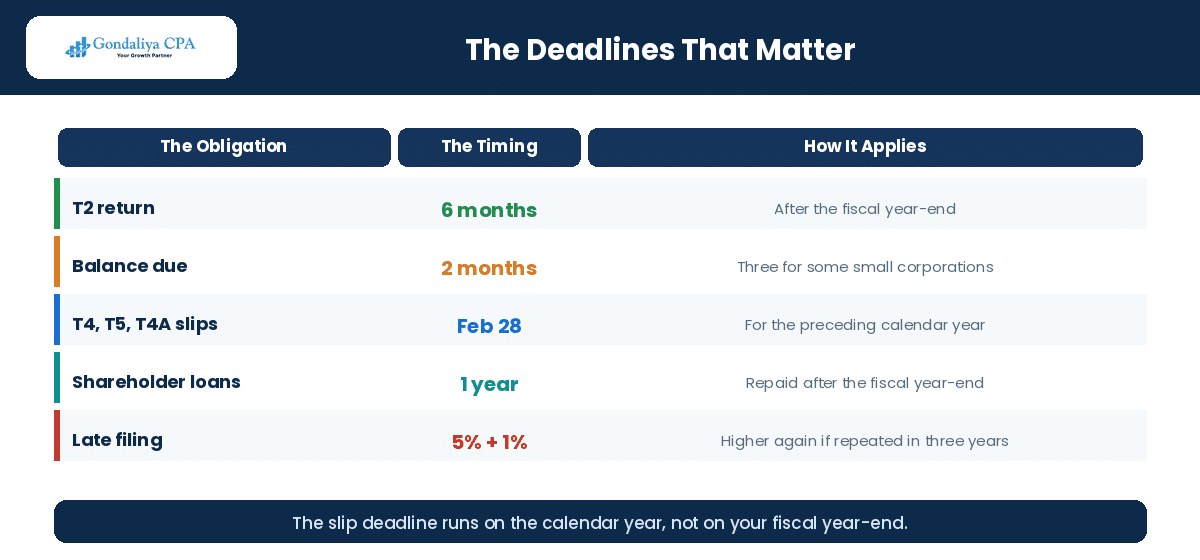 Corporate Tax Filing for Canadian Corporations With Multiple Shareholders: What Business Owners Need to Know Filing deadlines for Canadian corporations with multiple shareholders