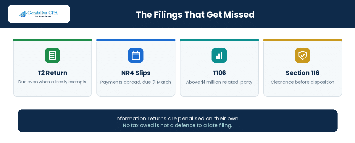 The Canadian filings most often missed by non-resident corporations