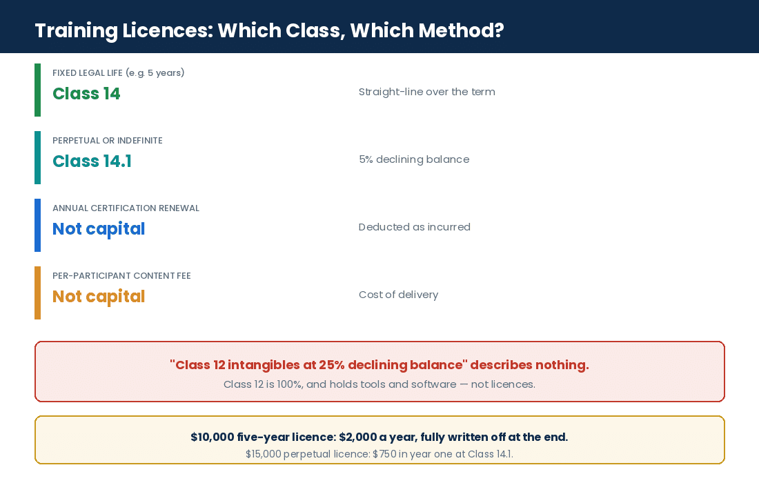 How limited-life and perpetual training licences are classified for capital cost allowance