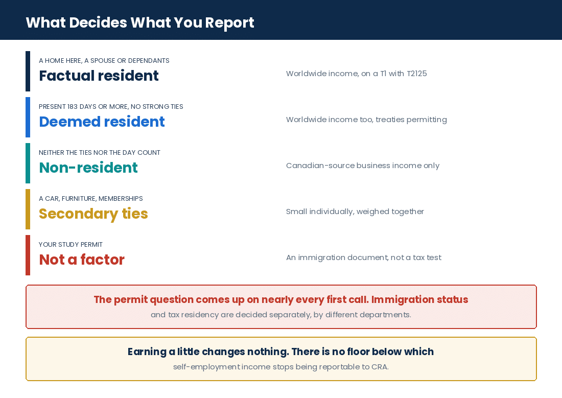 How CRA decides residency for an international student and what each status means for reporting business income