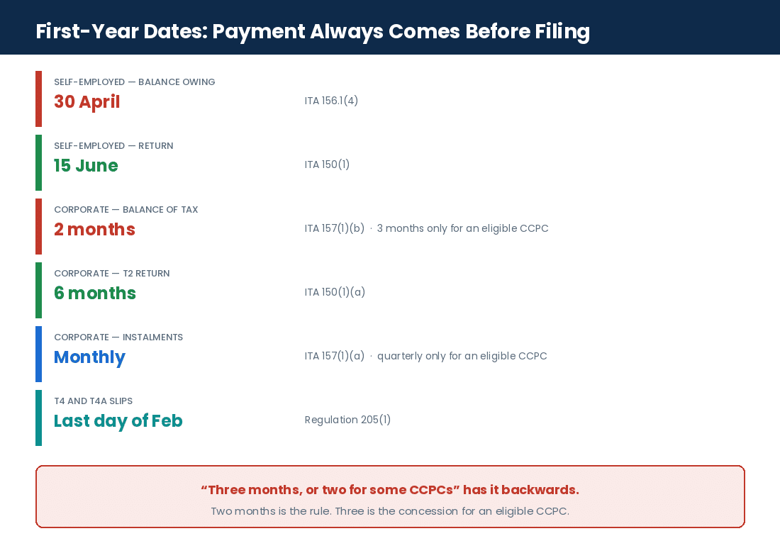 First-year filing and payment deadlines for newcomer business owners in Canada