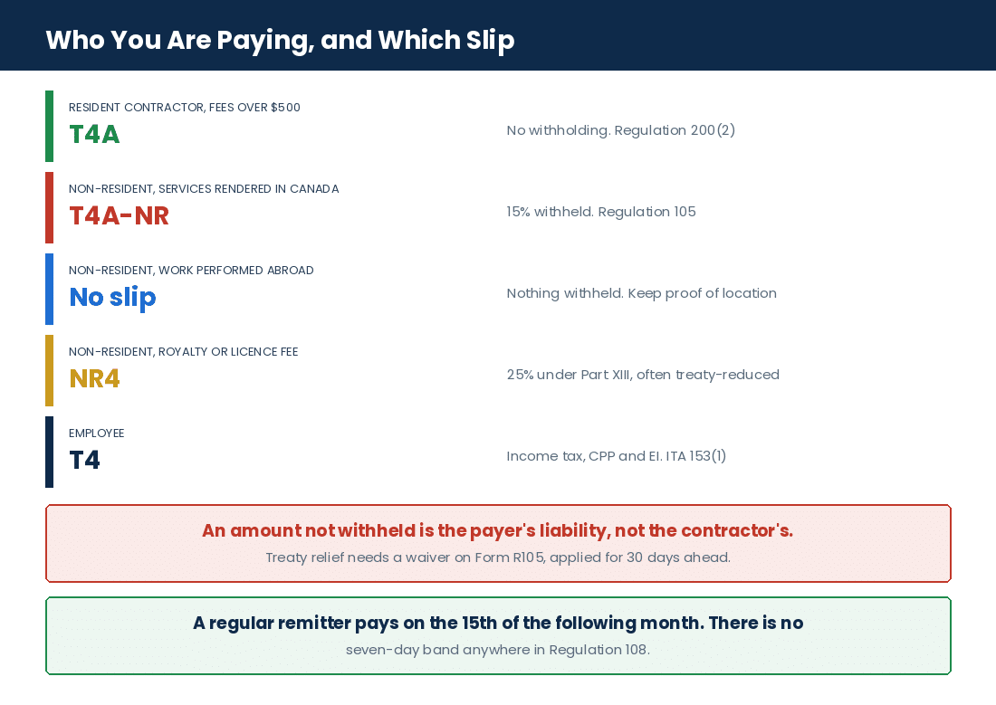 Which slip and which withholding applies to each kind of payment a no-code agency makes
