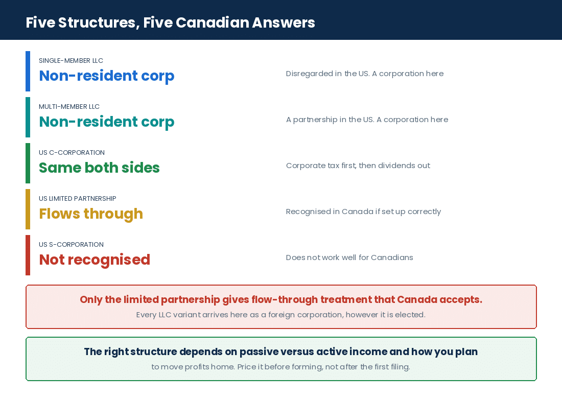 How a Canadian owner is taxed under each US entity type, from LLC to C-corporation to limited partnership